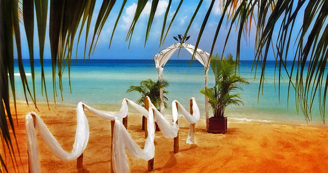 Give to our sponsors the enjoyment of offering you the best Wedding Give to our sponsors the enjoyment of offering you the best Wedding