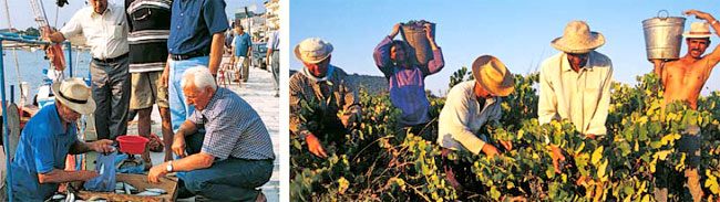 Zakynthos Zante Taste - Wine and Fishes