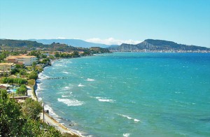 argassi