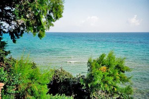 gerakari-psaru